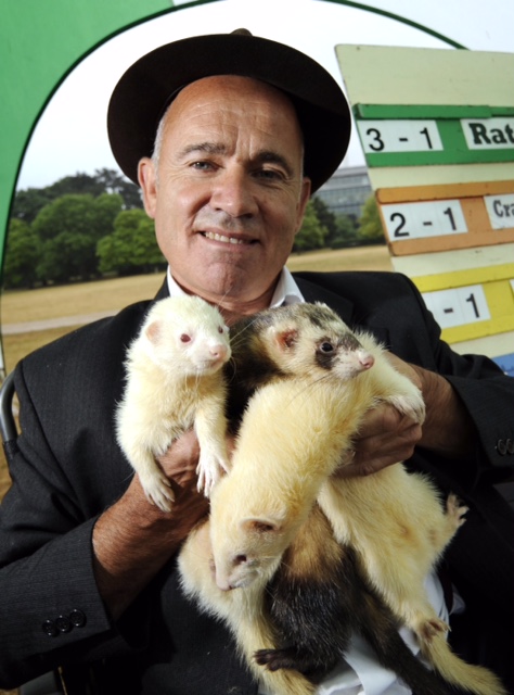 Ferret Racing